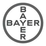 AnyConv.com__Bayer
